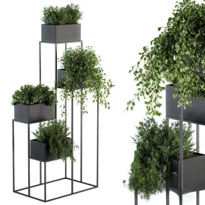 现代绿植盆栽-6